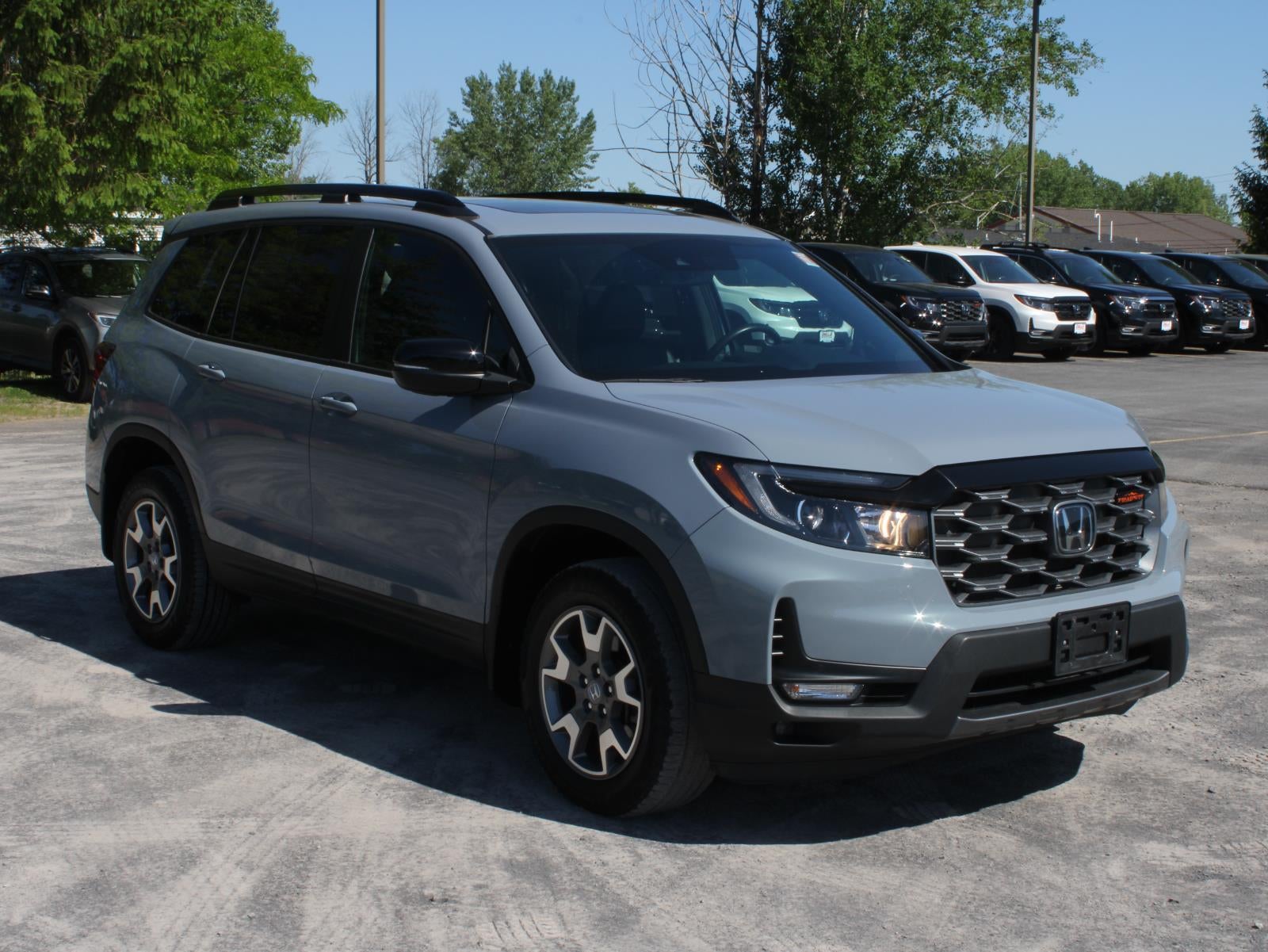 2023 Honda Passport — rear three-quarter view