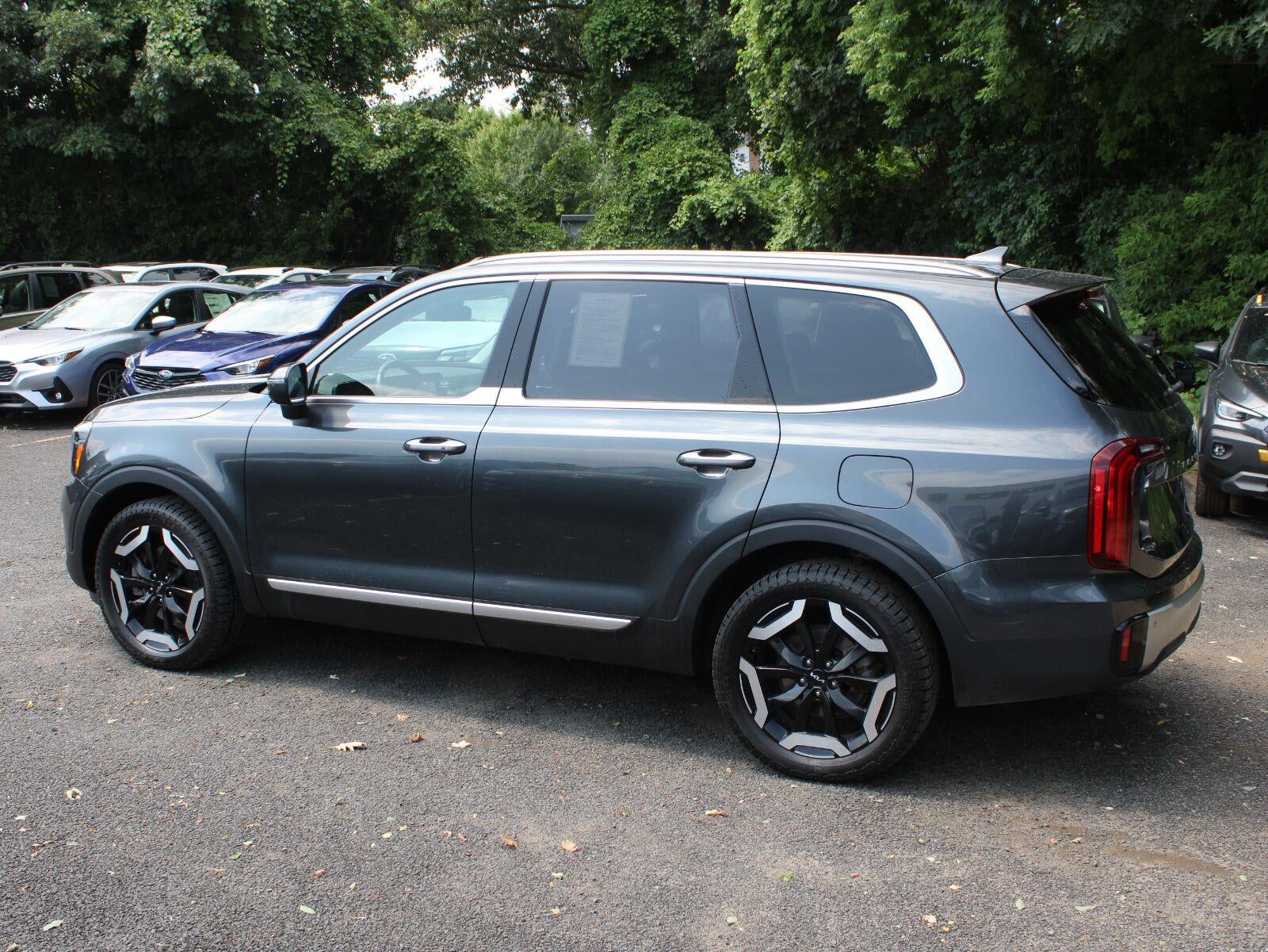 2024 Kia Telluride — detail view